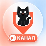 Telegram profile photo for kotikgo.com / аренда, сервисы