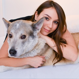 Telegram profile photo for PETS BY KATERINA | валяние