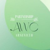 Telegram profile photo for arsenic ps