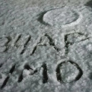 Telegram profile photo for #овчаркачмо