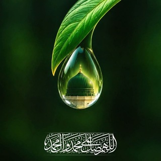 Telegram profile photo for المعارف الدينية