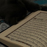 Telegram profile photo for .يوميات المؤمن