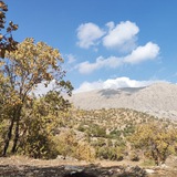 Telegram profile photo for دکتر اکبر یاریوند-دانشجویان عمران دانشگاه لرستان