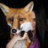 Telegram profile photo for Nika_Fox