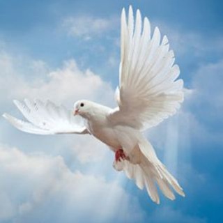 Telegram profile photo for Christian spiritual songs 🕊