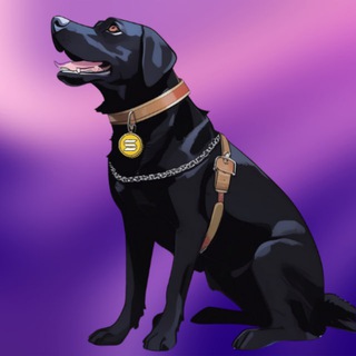 Telegram profile photo for Putin's Dog Konni