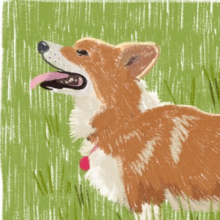 Telegram profile photo for Гектор каждый день