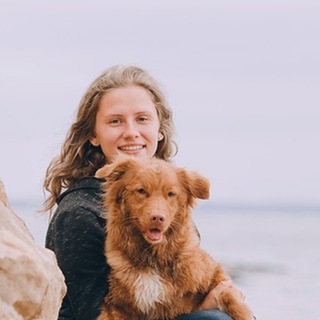 Telegram profile photo for Kazandogs | Кинолог | Дрессировка собак, Казань | Ноузворк
