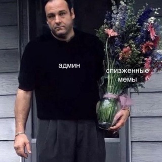 Telegram profile photo for Картинки в стиле мэм