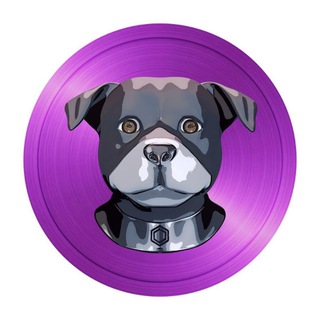 Telegram profile photo for JAXInu Official