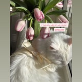 Telegram profile photo for ููู ๐โจ.