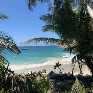 Telegram profile photo for PHUKET ❤️ REALTY