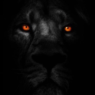 Telegram profile photo for KLEVER-FX🦅