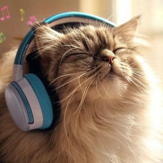 Telegram profile photo for Только для животных - Фабулы Исаева и БРТ 😼🐶🦄