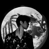Telegram profile photo for untitled