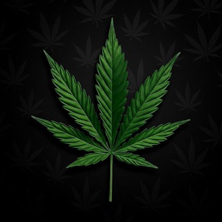 Telegram profile photo for Cannabis | NFT / Gift