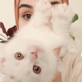 Telegram profile photo for أمل