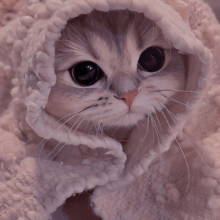 Telegram group profile photo for ЗНАКОМСТВА • ОБЩЕНИЕ