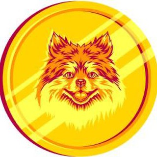 Telegram group profile photo for Pomerdoge