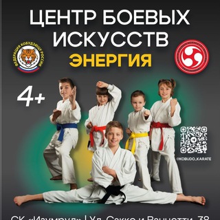 Telegram profile photo for Центр Боевых Искусств - Энергия