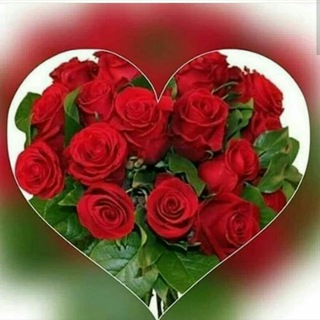 Telegram profile photo for عکس پروفا یل وکلیپ زیبا🌹🌹