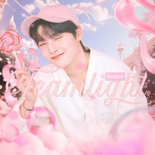 Telegram profile photo for 🔒‹ TEAMLIGHT INFO ›