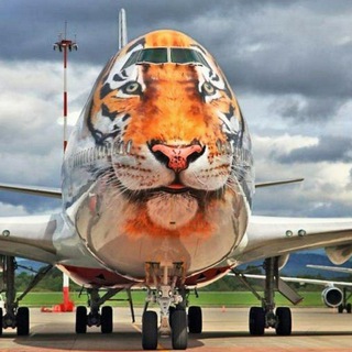 Telegram group profile photo for Ждем ПРЯМОГО рейса из Таиланда в Москву и не только