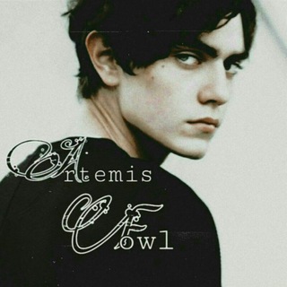 Telegram profile photo for Artemis Fowl IR