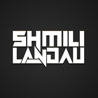 Telegram profile photo for Shmili Landau