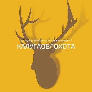 Telegram profile photo for Калугаоблохота