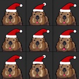 Telegram profile photo for ОТЗЫВЫ Единственный Владелец @Vendbar