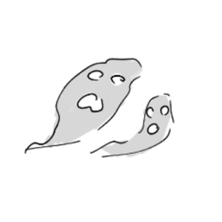 Telegram profile photo for ikusma