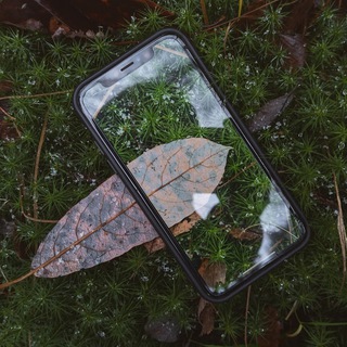 Telegram profile photo for NV wallpaper