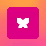 Telegram profile photo for СорокаРулит💞
