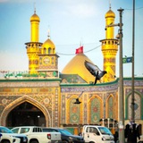 Telegram profile photo for پشٺصحنہفاطمہزهرا‹س›♥️