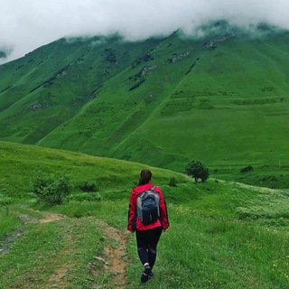 Telegram profile photo for Traveleisure|авиабилеты и отели|ошибочные тарифы