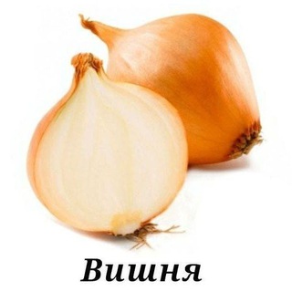 Telegram profile photo for Garlic