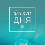 Telegram profile photo for факт дня