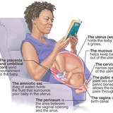 Telegram profile photo for OB-gyn