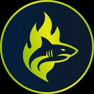 Telegram profile photo for RaidSharks Trending