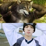 Telegram profile photo for Wolfiehoon Archive.