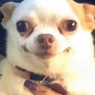 Telegram profile photo for тут ира биен и немного фем повестки