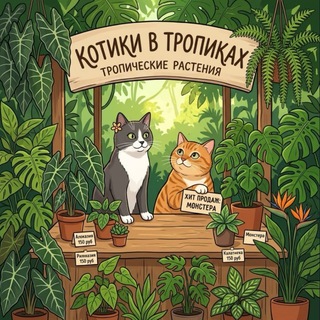 Telegram profile photo for Магазин в тропиках