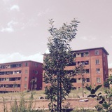Telegram profile photo for Addis ababa Condominium housing