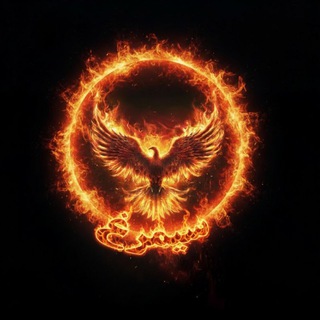 Telegram profile photo for Tehran phoenix