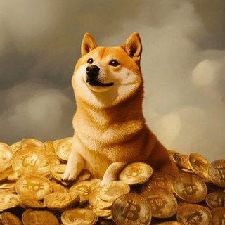 Telegram profile photo for 100x Memecoins π₯