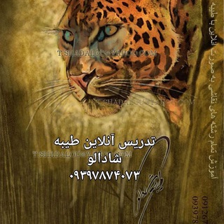 Telegram profile photo for ایران و هنرمندان(طیبه شادالو)