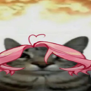 Telegram profile photo for /dev/binary