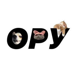 Telegram profile photo for оруіору