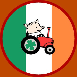 Telegram profile photo for Ирландия